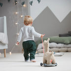 Pull along 2-in-1 toy