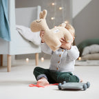 Pull along 2-in-1 toy