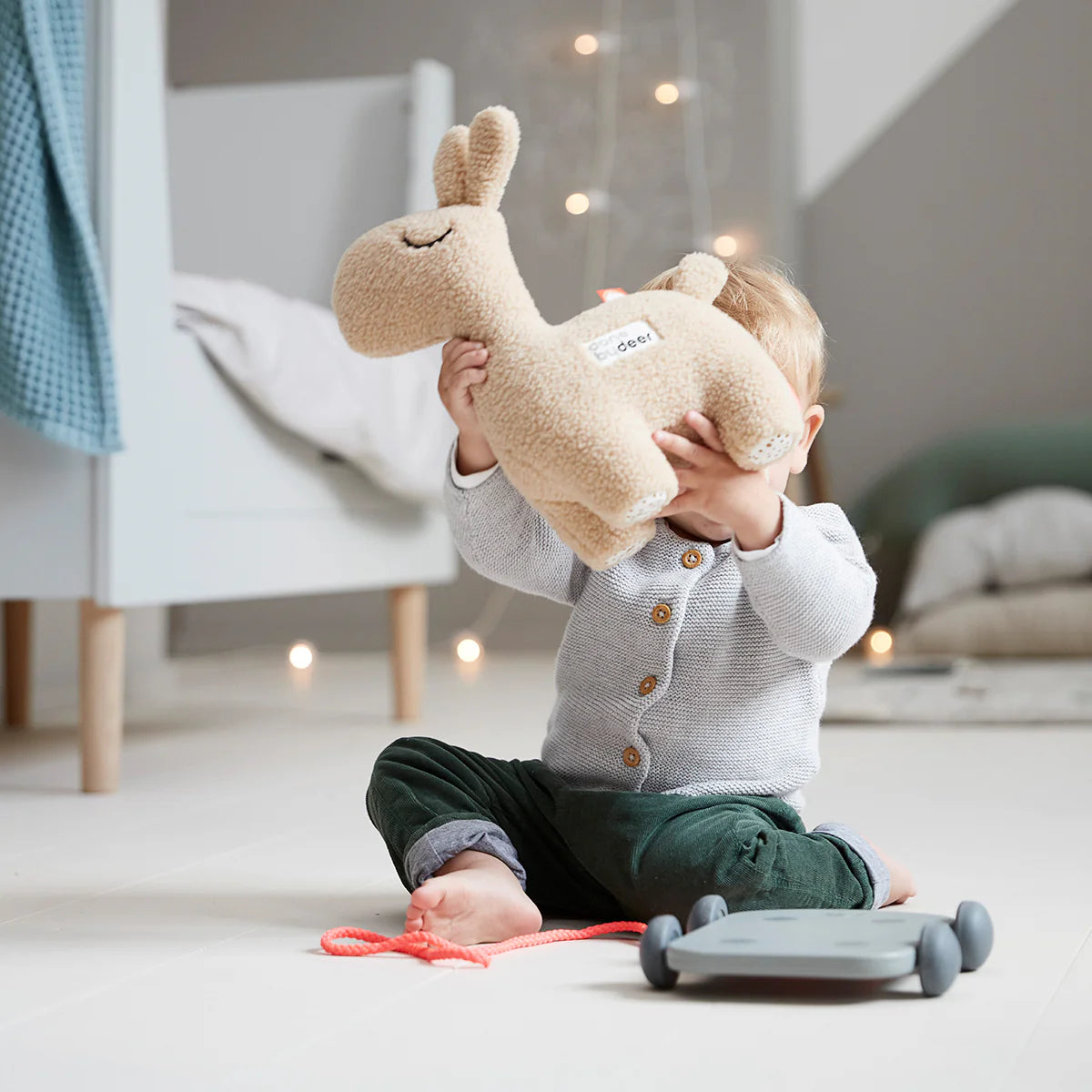 Pull along 2-in-1 toy