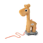 Pull along 2-in-1 toy