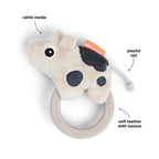 Sensory rattle w/teether
