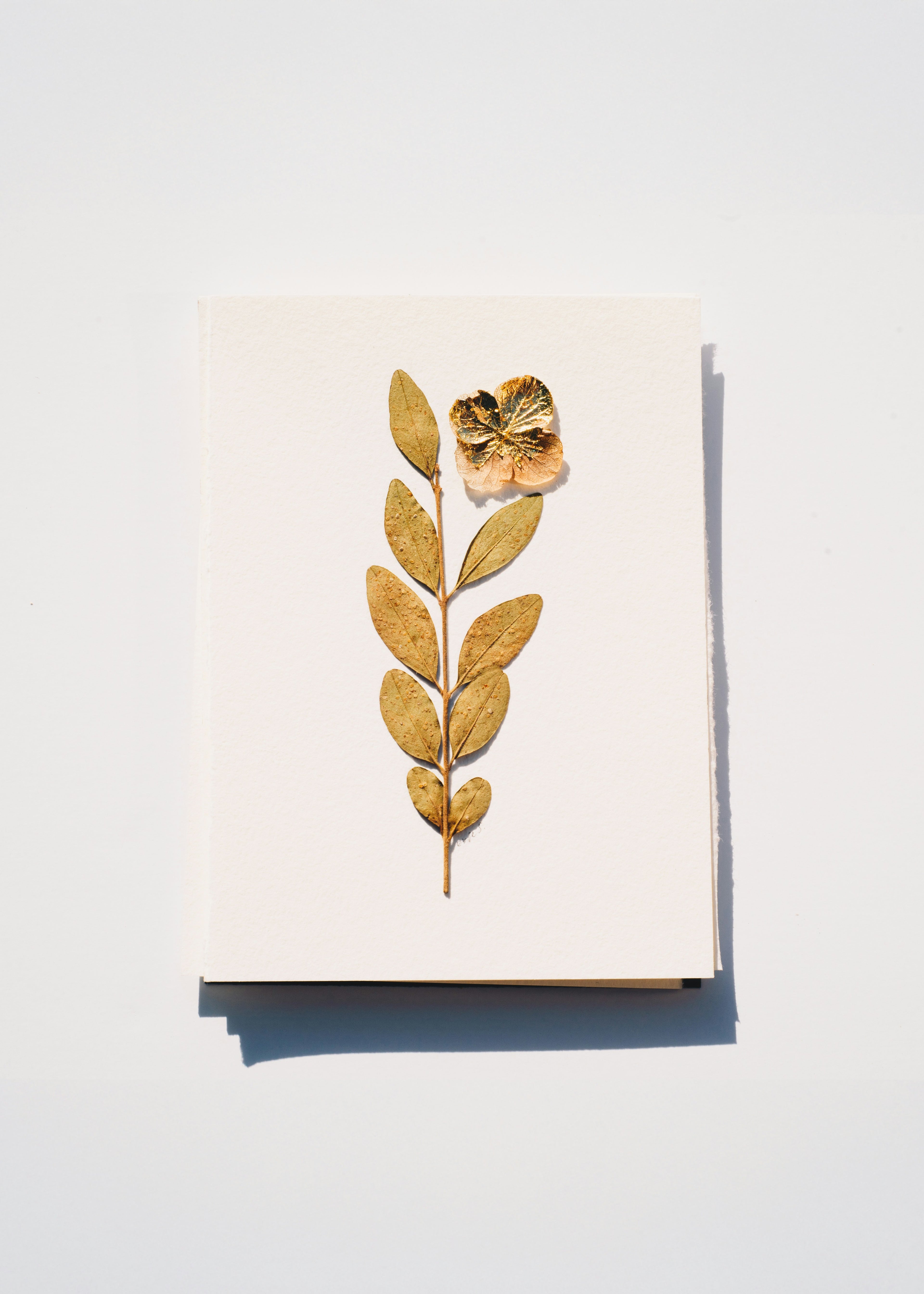 Hand-pressed botanical card with gold pressed flower on cream paper